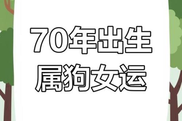 属狗运势预测与建议