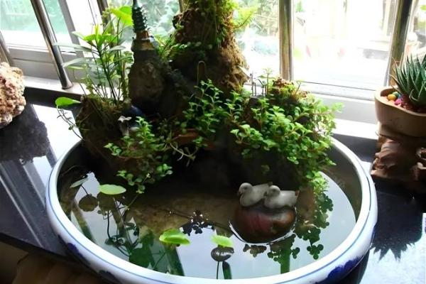 贡井风水宝地揭秘：家居方位助你健康长寿