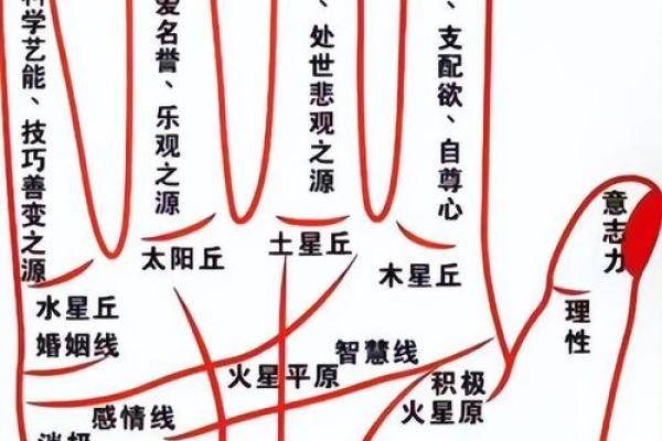 手相解码：中指指纹带你走进神秘的人生轨迹