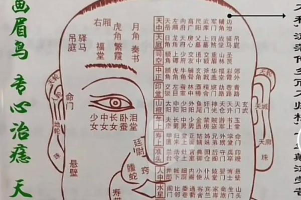 身体痣相决定人生？男性身体痣相最准图让你一窥究竟！