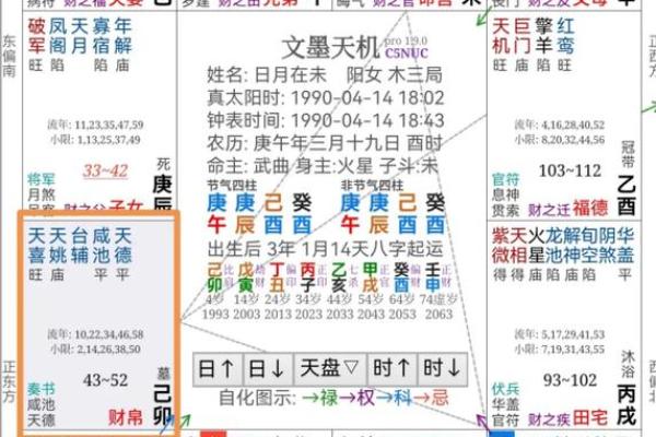 地支午与紫微的命理奥秘
