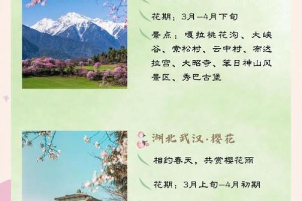 春日踏青，赏花祈愿：三月三民俗风情盛宴