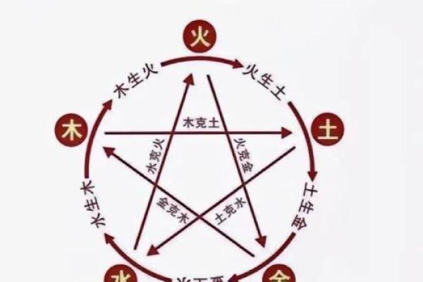 探索五行查询的实用技巧