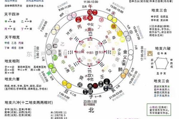 揭秘地支如何造天干的奥秘