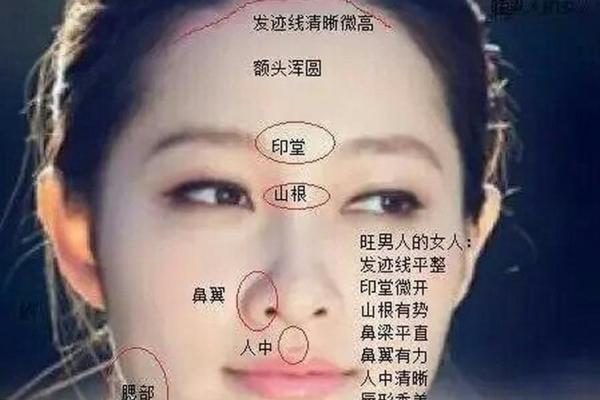 额头宽广圆滑面相之谜