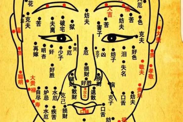 嘴厚面相：财富与福气的象征