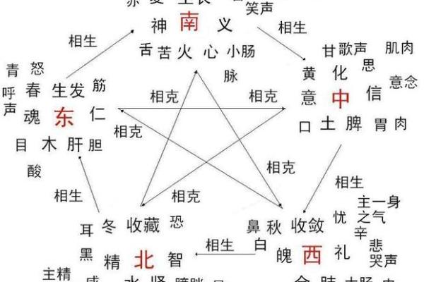 五行与生肖马：马的五行属性解析