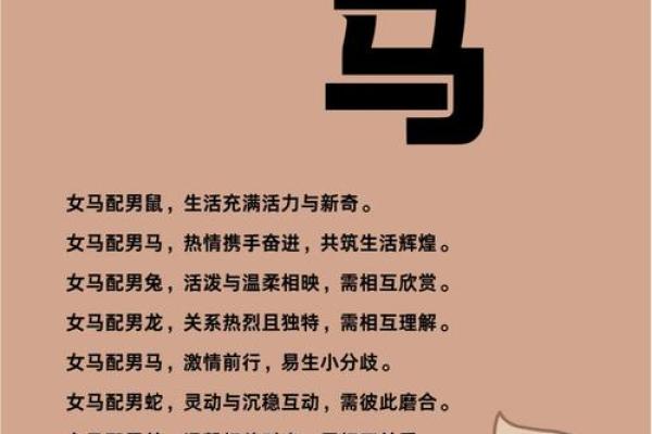 五行与生肖马：马的五行属性解析