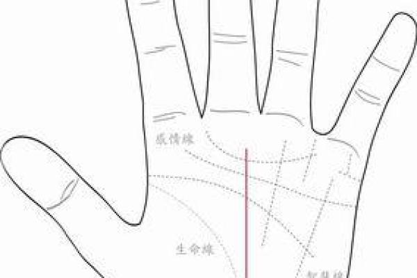 女性事业线揭秘：掌握命运，成就非凡人生
