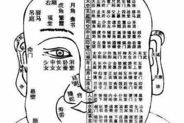 麻衣神相阴茎痣揭秘：面相学中的神秘密码！