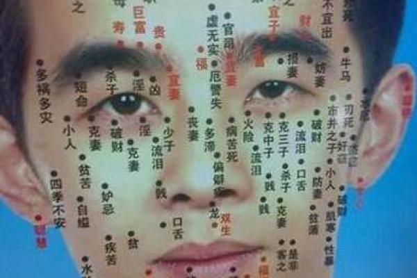 麻衣神相阴茎痣揭秘：面相学中的神秘密码！
