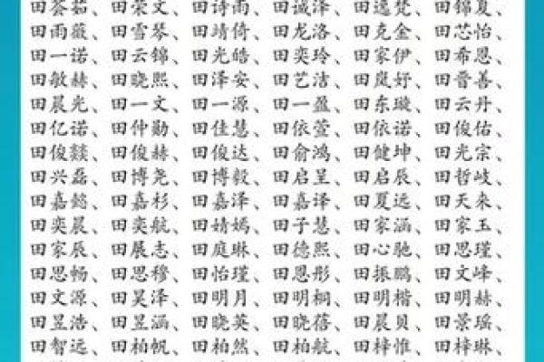 霸气田姓男孩：如何取一个响亮的名字＿