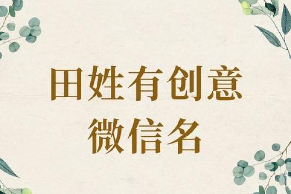 霸气田姓男孩：如何取一个响亮的名字＿