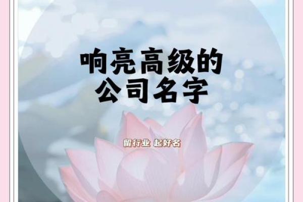 提升市场竞争力，实物起名公司为您的产品命名加分