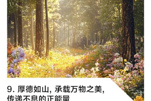 郭夯：夯实根基，厚德载物——运势稳健，未来可期