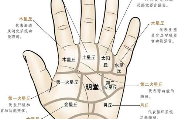 川手相女生揭秘：手上的秘密，你了解多少？