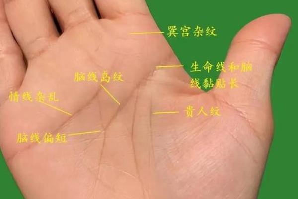 手中藏宝：揭秘手相中的运势密码