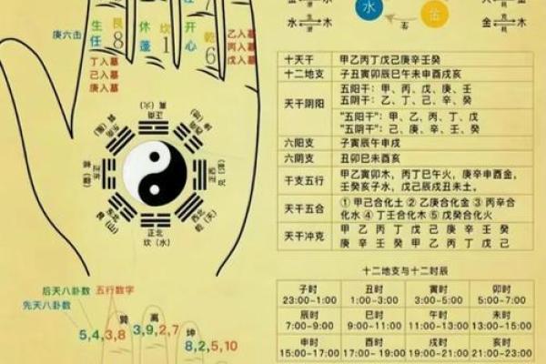 手中藏宝：揭秘手相中的运势密码