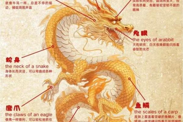 飞龙在天，吴氏英豪：揭秘吴飞龙姓名运势之谜