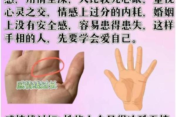 手相揭秘：肉欲与中庸的完美平衡