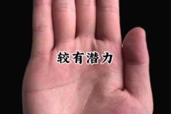 手相揭秘：肉欲与中庸的完美平衡