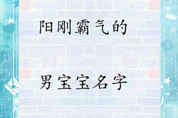 猪年宝宝名字精选：萌趣创意无限＿
