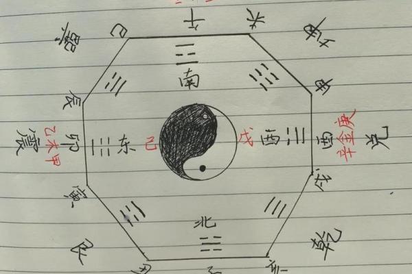 探秘地支合而不化对命运的影响