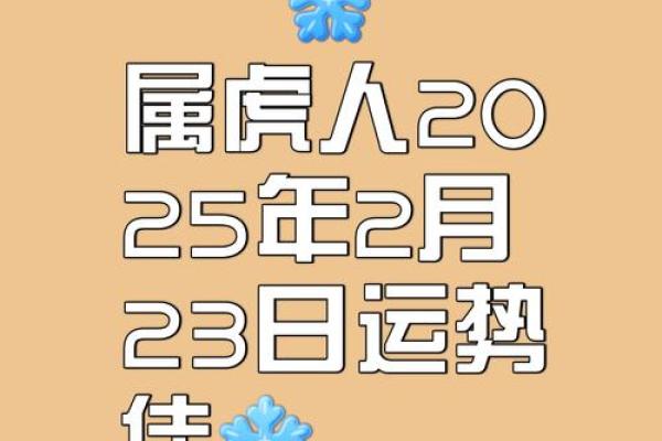 探索属虎女性的一生运势