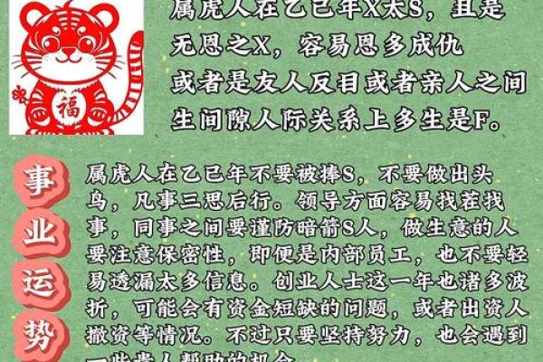 探索属虎女性的一生运势