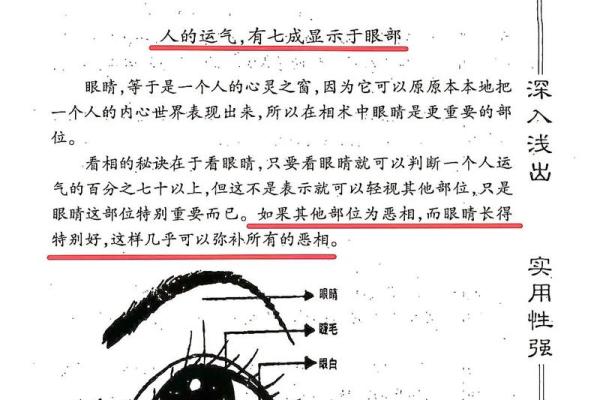 面相识人心：解码面部语言的300个奥秘