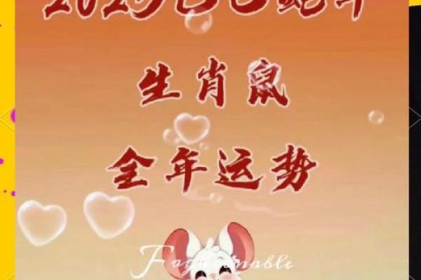 属鼠今日运势：财运亨通，事业顺利，揭秘运势大爆发
