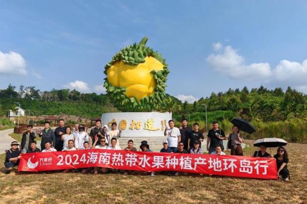 水果名称助力公司品牌塑造