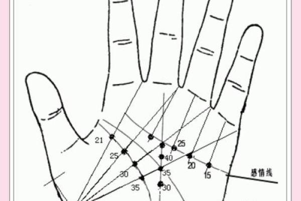 解锁命运密码：手相纹纹路揭秘人生运势