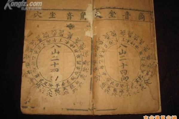 选地皮时如何运用风水学提升生活质量