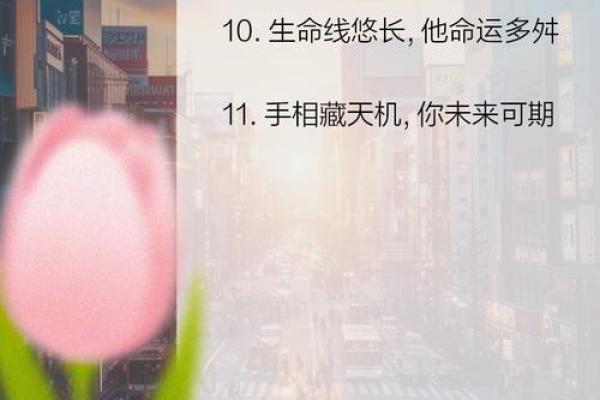 掌中乾坤，坤宫揭秘你的事业财运高峰指南