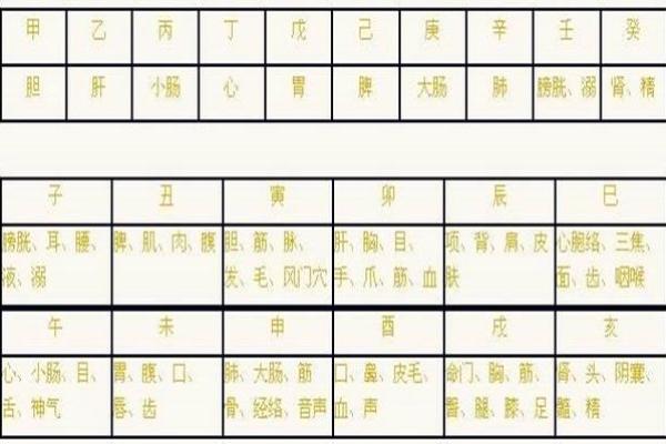 解读十二地支对人体各部位的影响