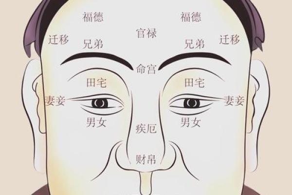 面相奥秘：天中磕面相解析