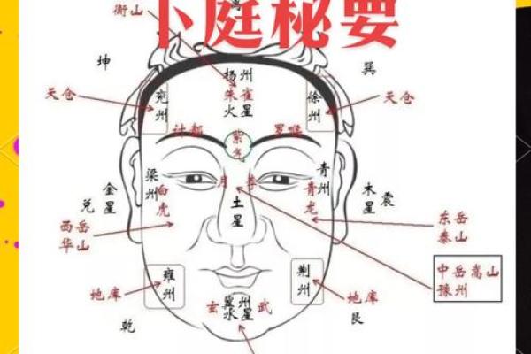 面相奥秘：天中磕面相解析