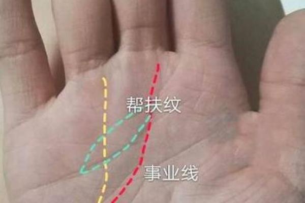 手相奥秘：手指肚透露人生运势