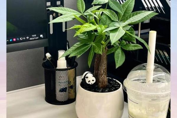 青羊区家居风水技巧，让你的家财运滚滚来