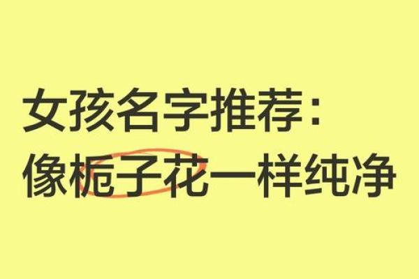 从有栀看起名：揭秘名字的寓意与寓意