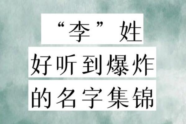 李书女孩名字的独特魅力与文化底蕴