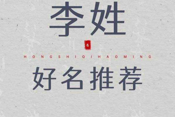 李书女孩名字的独特魅力与文化底蕴