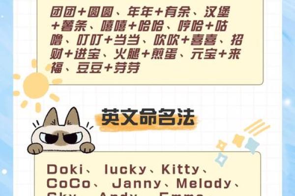 萌宠cp来袭！创意狗狗名字情侣组合曝兿