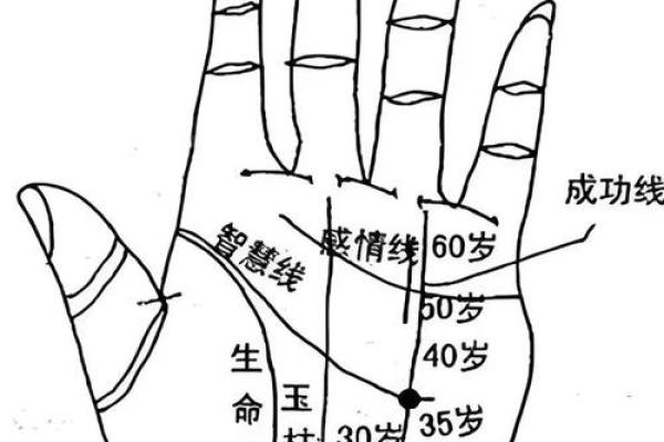 手相中的水滴印记：探寻命运的秘密通道