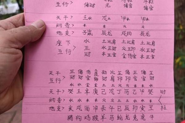 从地支看中国传统命理的奥秘