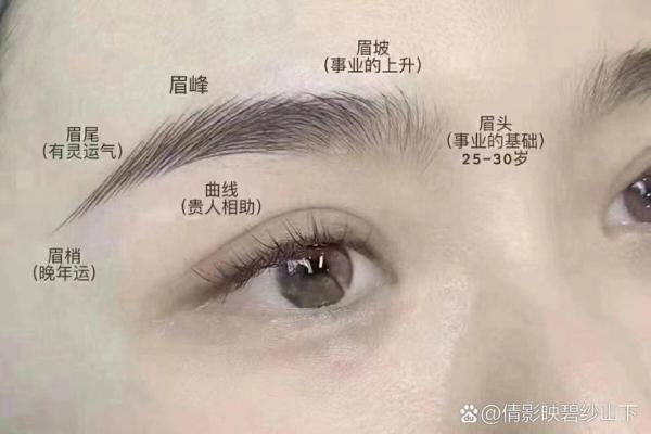 眉毛的变化如何影响你的运势