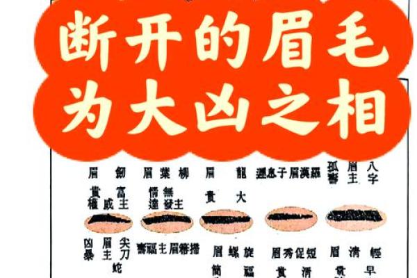 眉毛的变化如何影响你的运势