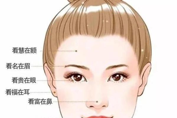 揭秘面相整形：瞬间变身明星范儿，改变命运的秘密武器！