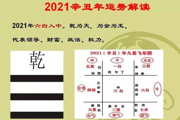 掌中玄机：分离线揭秘你的运势与性格